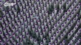 Неизвестная Россия: спички из Верхнего Ломова